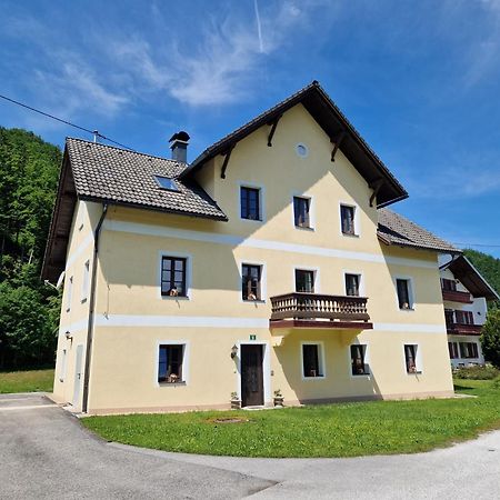 Ferienwohnungen Viktoria Buchegger Gruenau im Almtal Ngoại thất bức ảnh